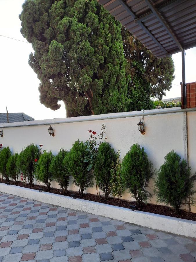 טביליסי Hotel Lu-Ma מראה חיצוני תמונה